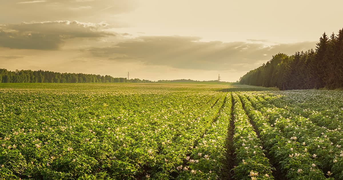 Farming Industry